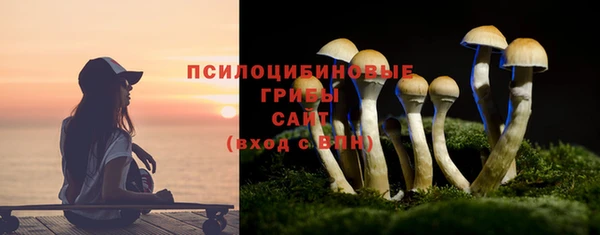 Альфа ПВП Надым