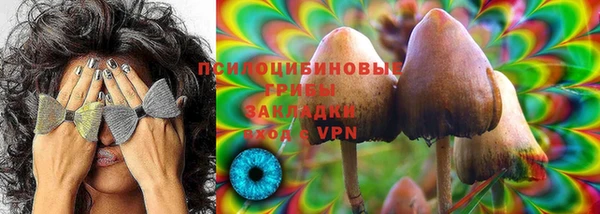 Альфа ПВП Надым