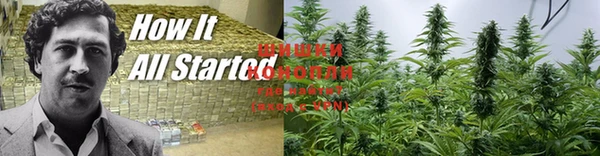 ПСИЛОЦИБИНОВЫЕ ГРИБЫ Наволоки