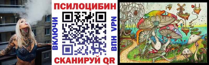 Псилоцибиновые грибы GOLDEN TEACHER  где продают   omg зеркало  Туран 